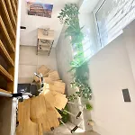 Trastevere Sweet Nook Διαμέρισμα *